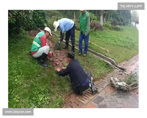 韩国龙仁体育场启用草坪恒温系统应对暴雨保障比赛顺利进行